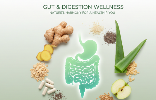 Gut & Digestion