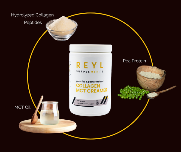 Collagen MCT Creamer